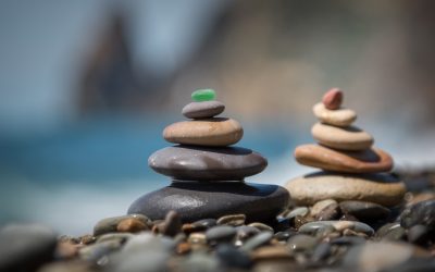 Why a Slow Thinking AI is the Step Forward