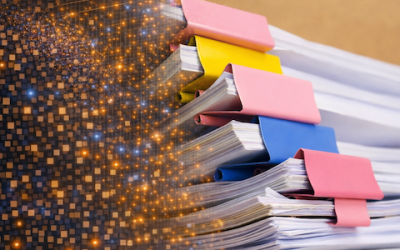 Invoice and Expense Categorization